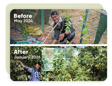 Tree-planting 2.png